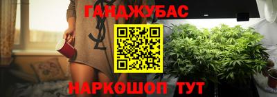 СК Обь