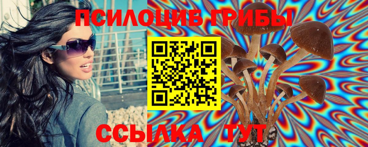 Галлюциногенные грибы Cubensis  Вход с VPN  Артёмовский 
