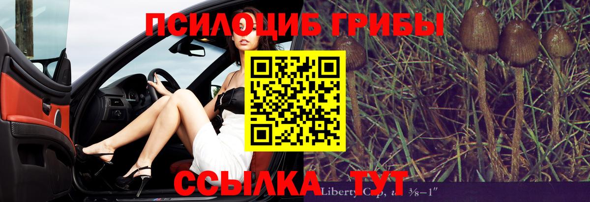 Псилоцибиновые грибы мухоморы Артёмовский